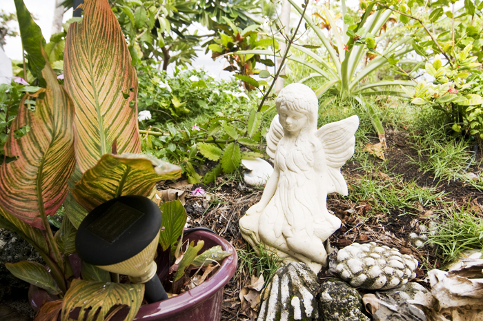_3KW7591.jpg - Every garden needs a guardian angel